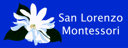 SLM montessori logo